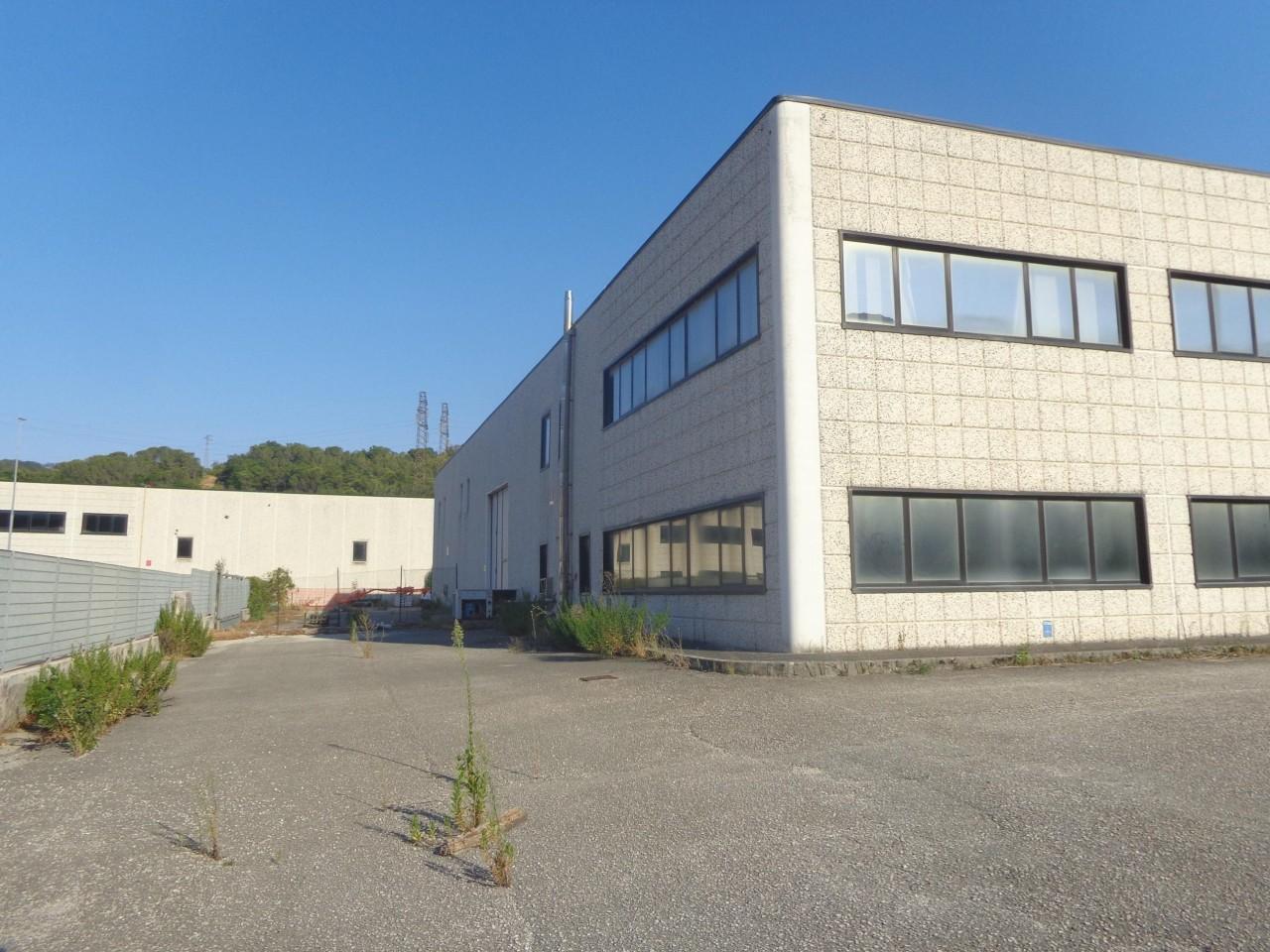 Capannone in Via dell'Industria 2, Serra San Quirico, {3} - Foto 2