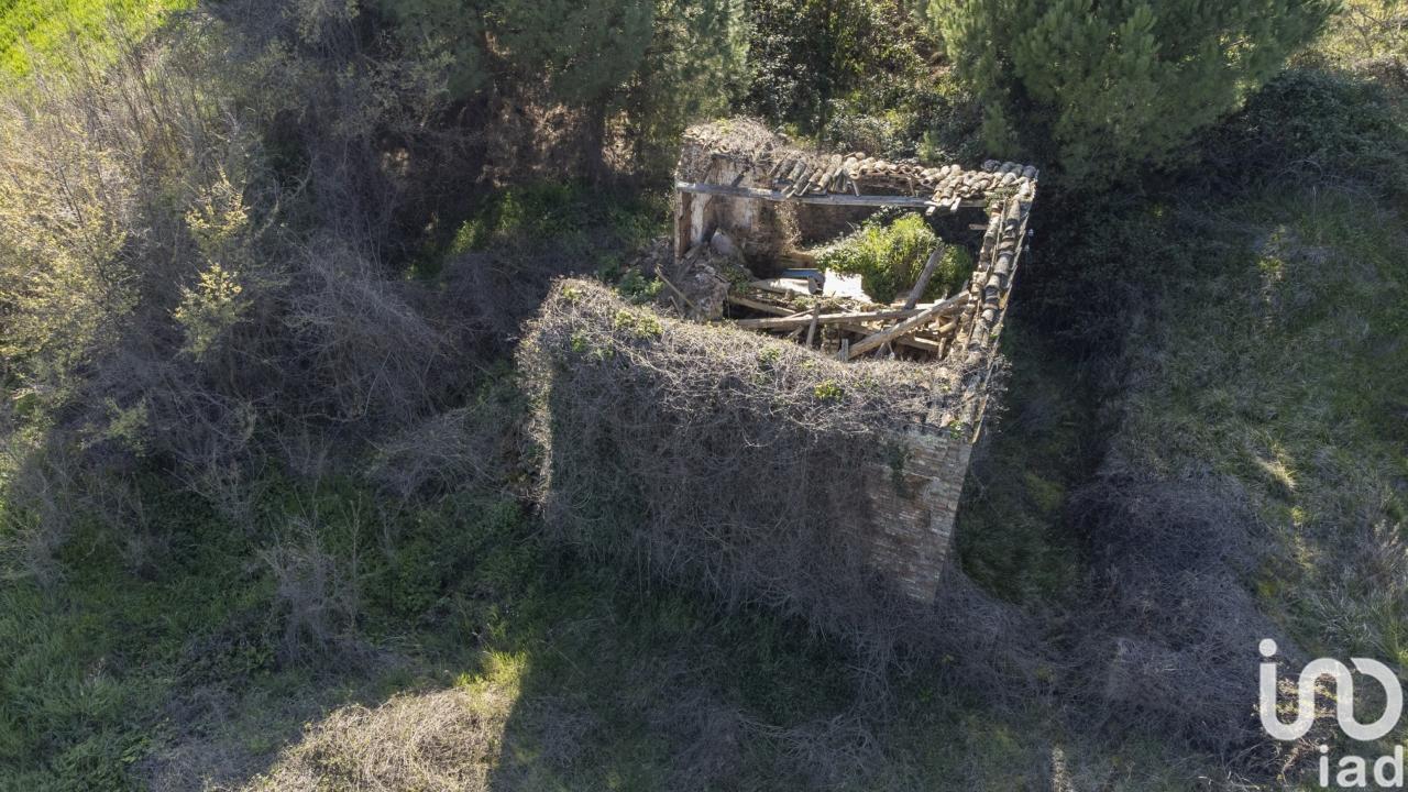 immagine annuncio 10 di 13