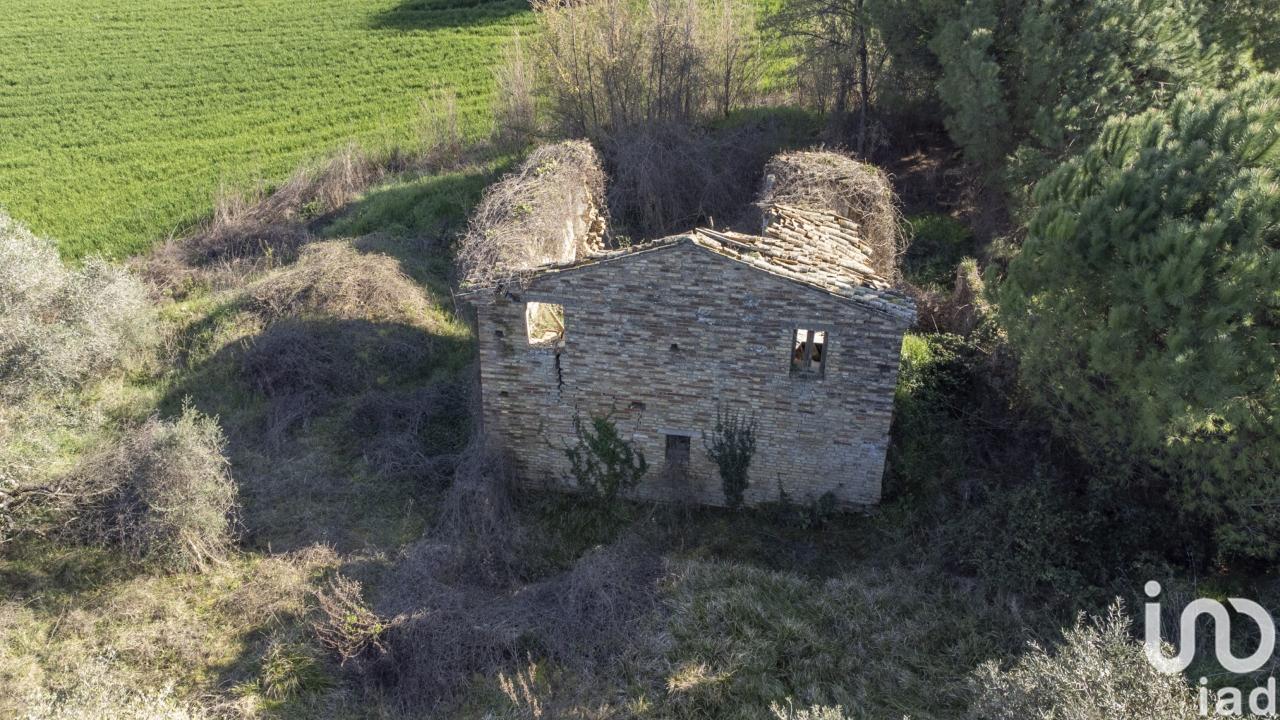immagine annuncio 9 di 13