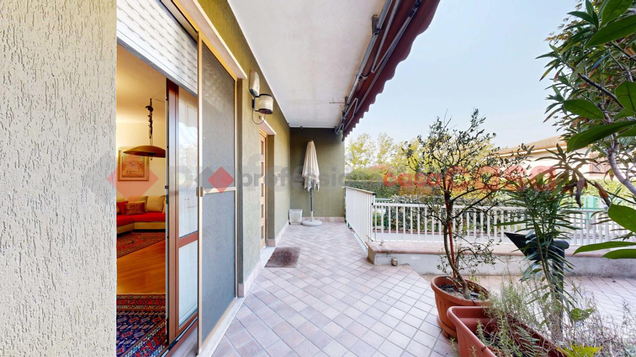 immagine annuncio 3 di 15