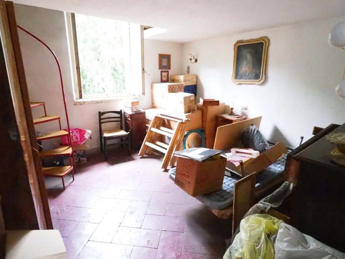 immagine annuncio 9 di 14