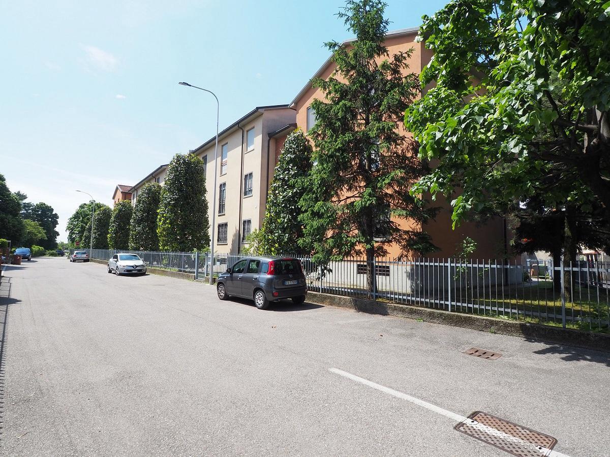 immagine annuncio 11 di 15