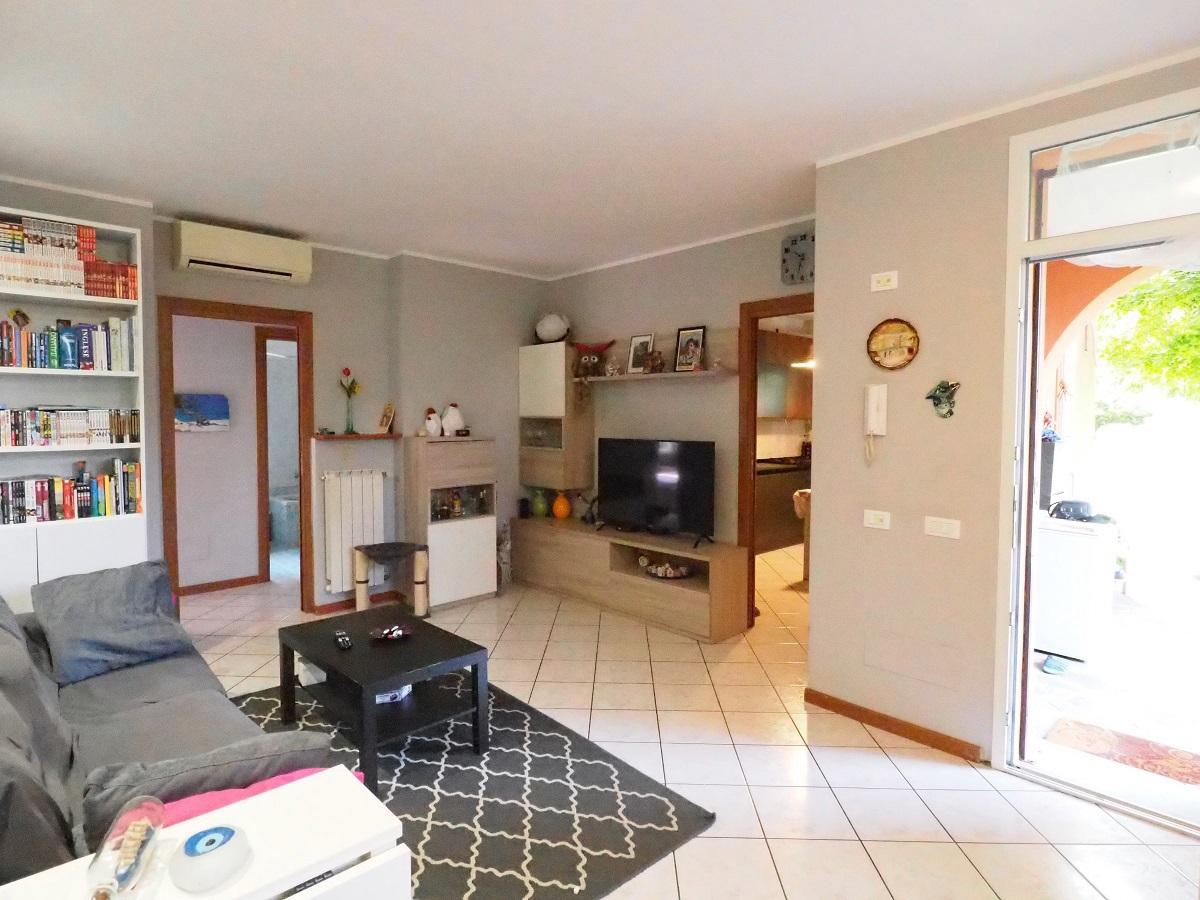 immagine annuncio 6 di 15