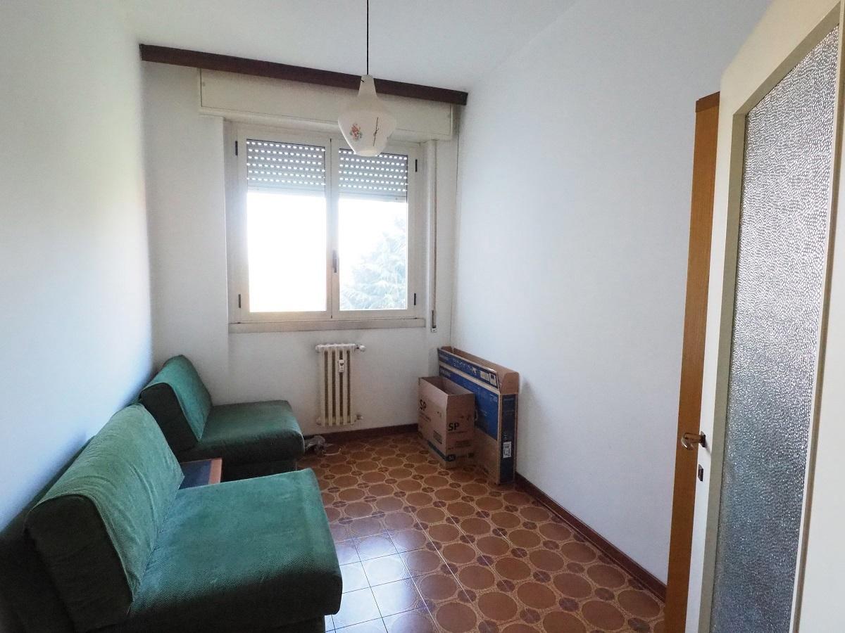 immagine annuncio 3 di 14