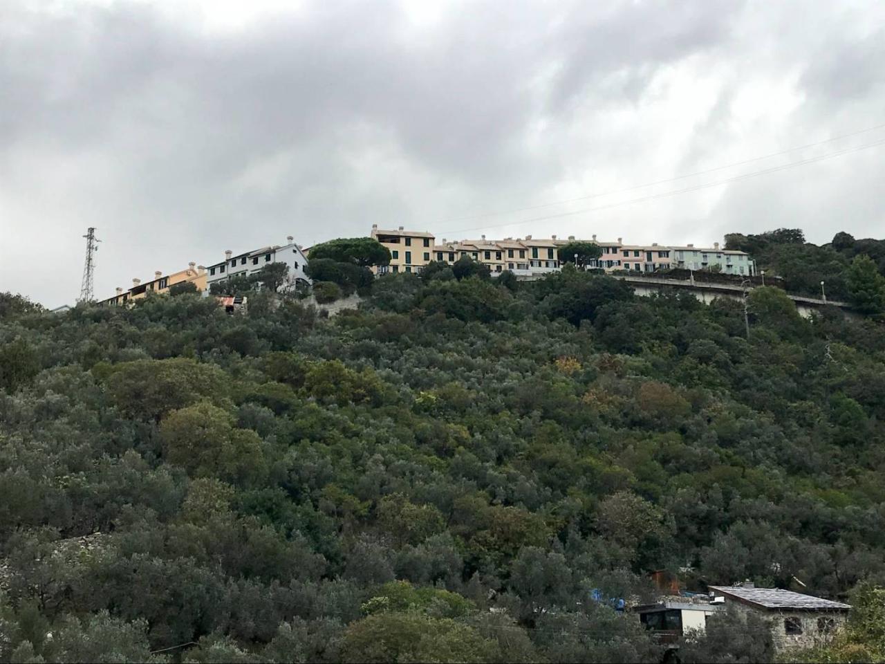 immagine annuncio 8 di 9