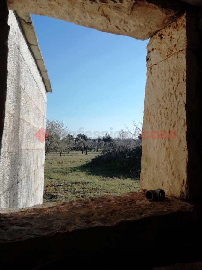 immagine annuncio 7 di 13