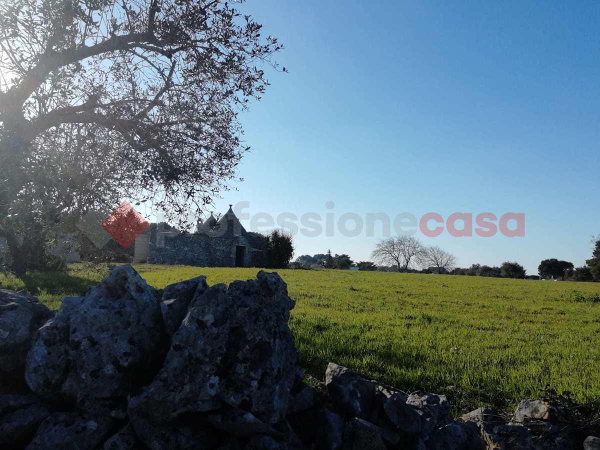 immagine annuncio 11 di 13