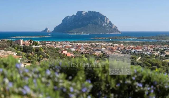 Villa in Porto San Paolo, Loiri Porto San Paolo - Foto 1