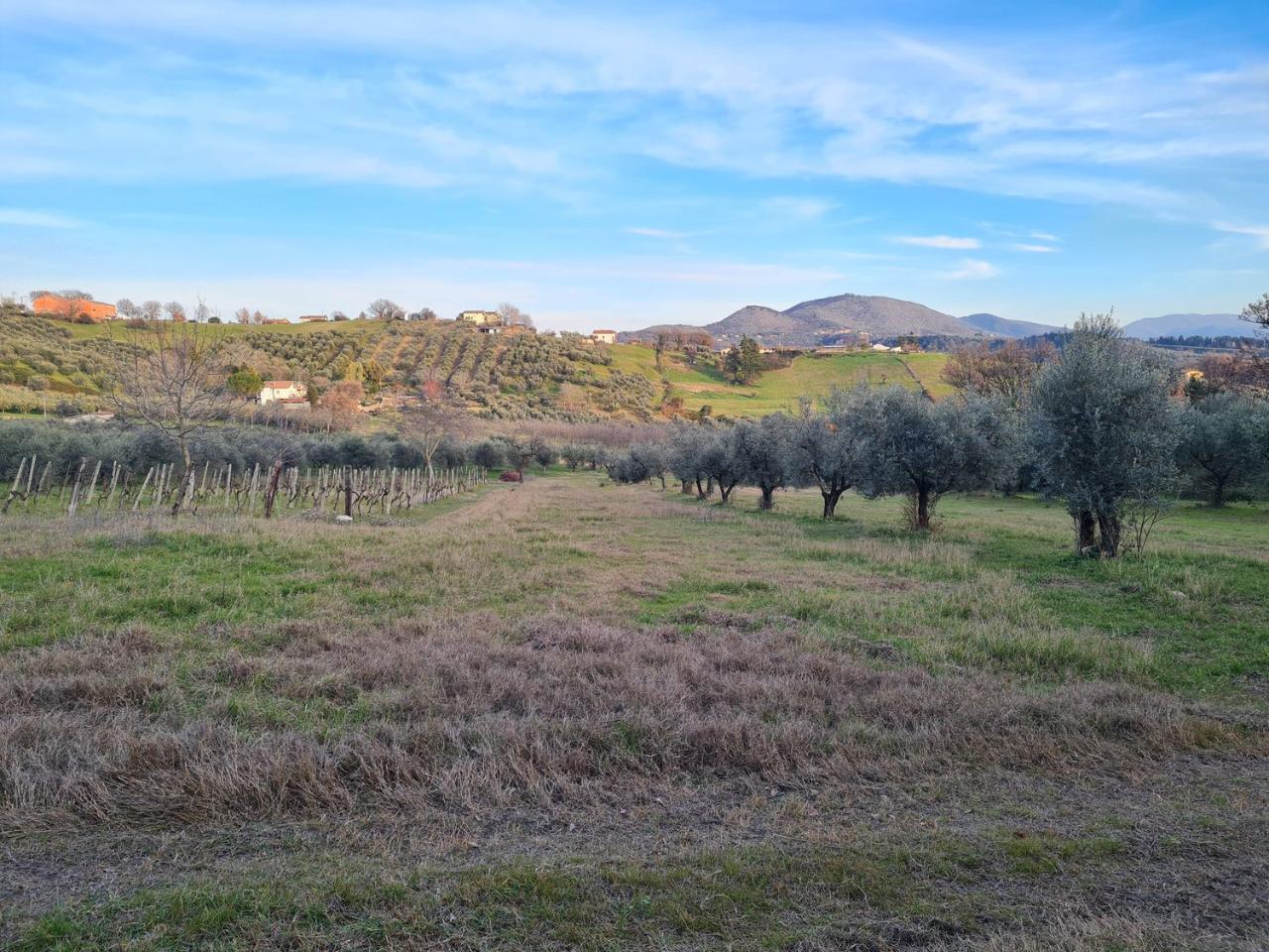 Terreno agricolo in vendita a Montopoli Di Sabina