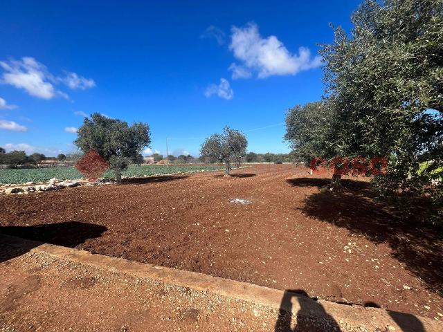 Terreno agricolo in Prov. Polignano/Conversano, Polignano a Mare - Foto 1