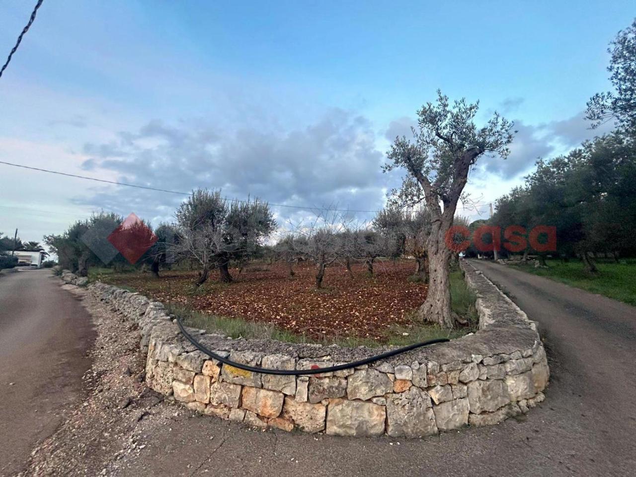 immagine annuncio 5 di 7