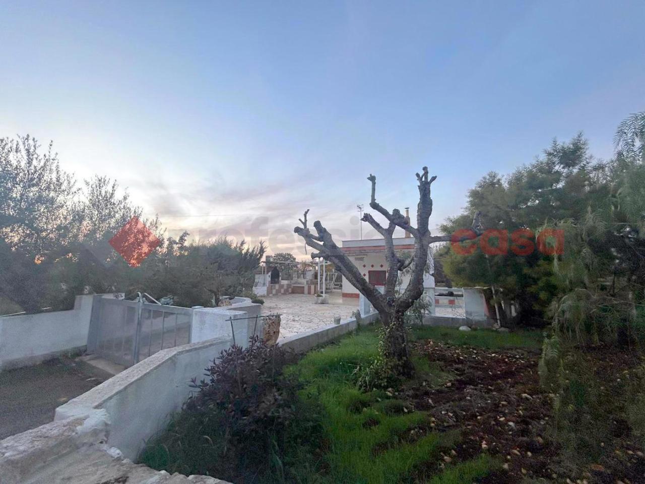 immagine annuncio 6 di 7