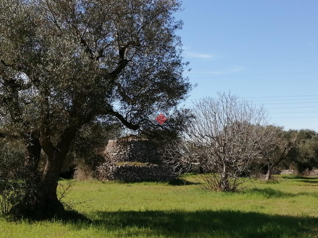 immagine annuncio 4 di 10