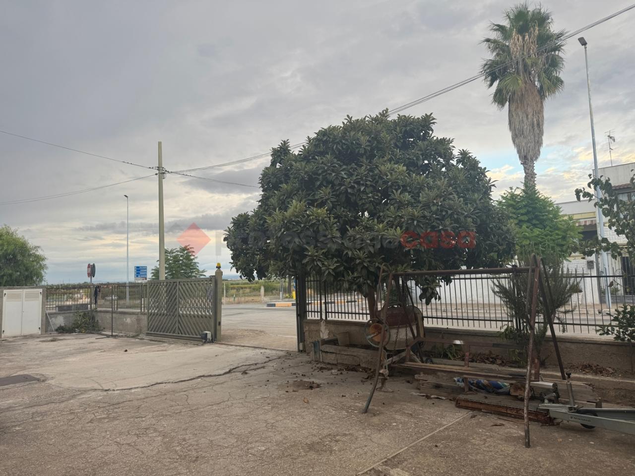 immagine annuncio 13 di 14