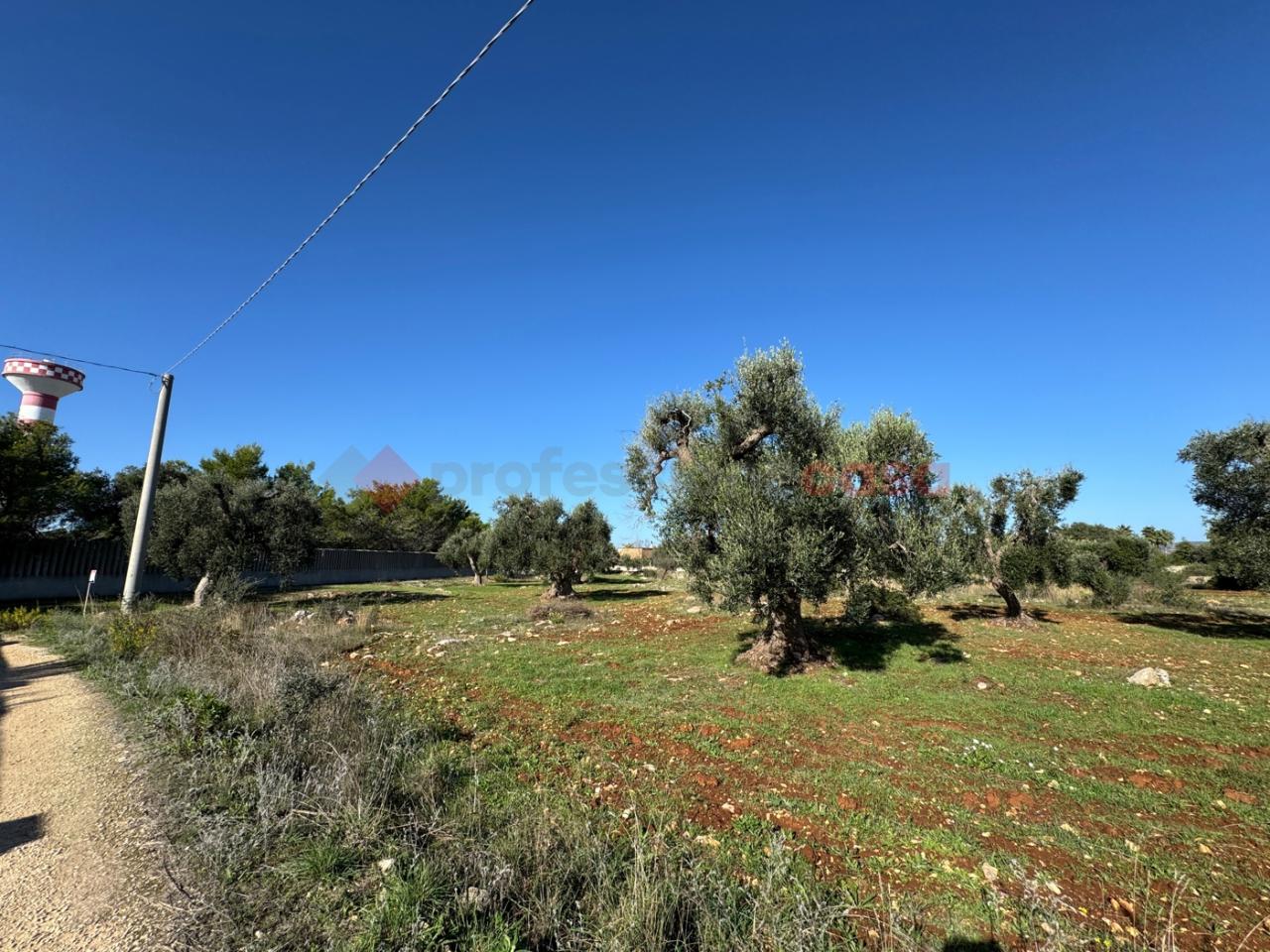 immagine annuncio 5 di 7