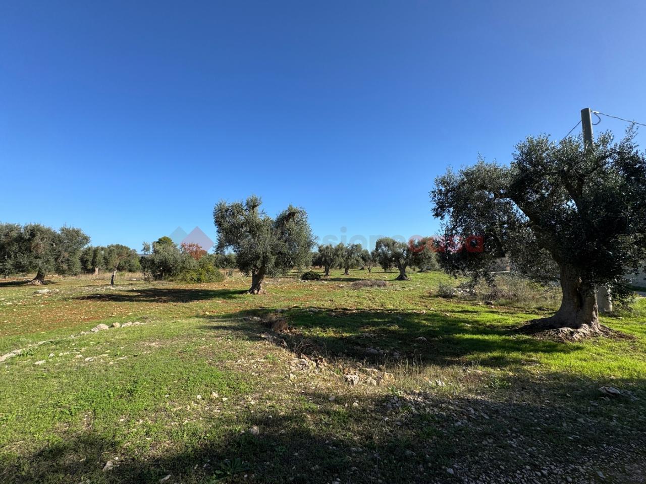 immagine annuncio 3 di 7