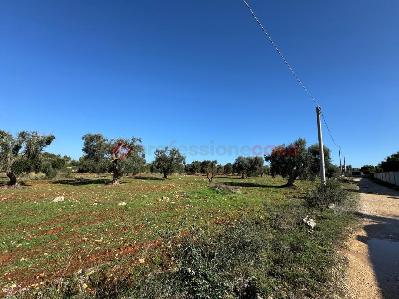 immagine annuncio 4 di 7