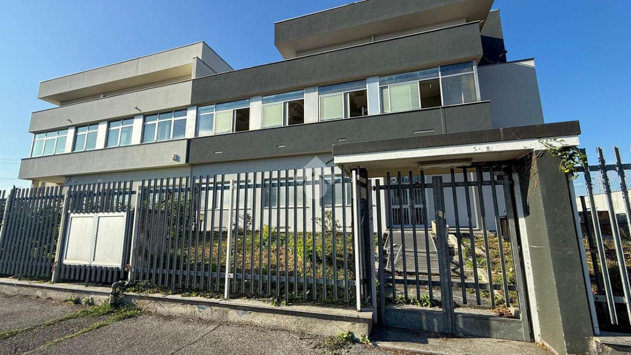 Capannone in Viale I Maggio 6, Peschiera Borromeo, {3} - Foto 2