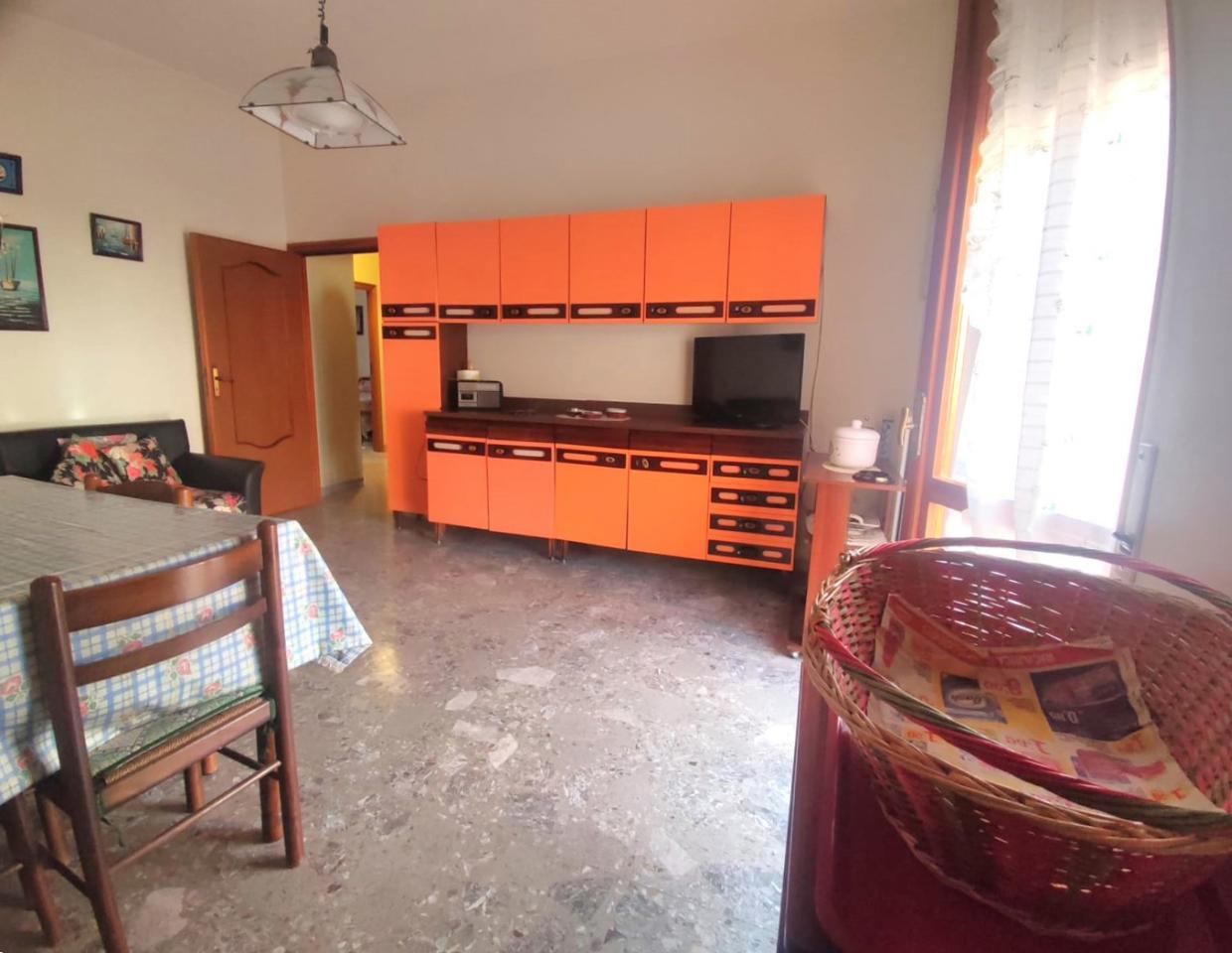 immagine annuncio 5 di 14