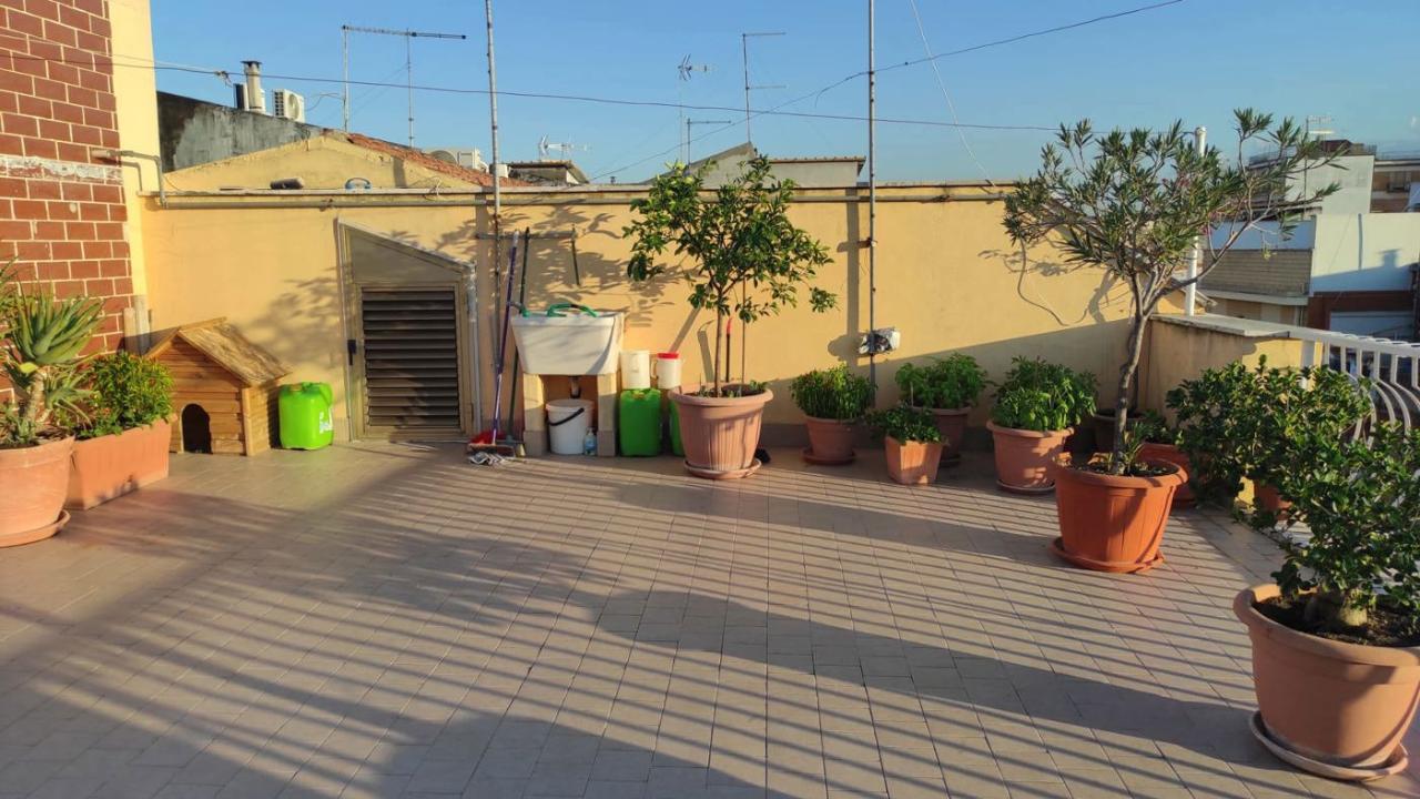 immagine annuncio 3 di 12