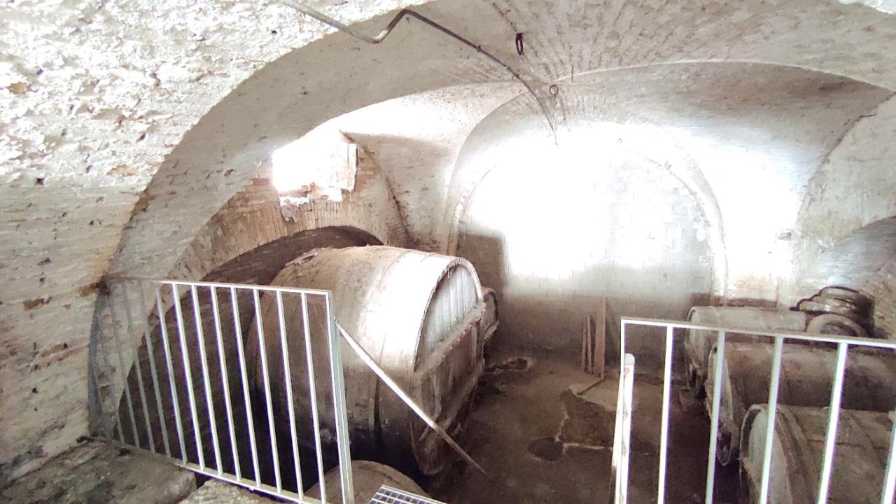 immagine annuncio 7 di 11