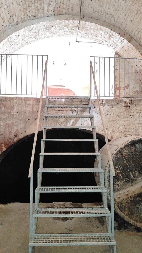 immagine annuncio 9 di 11