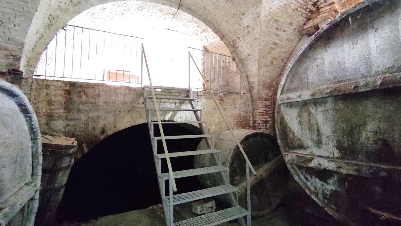 immagine annuncio 8 di 11