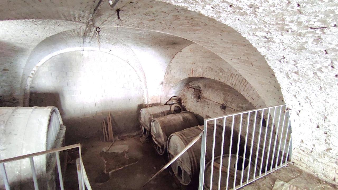 immagine annuncio 6 di 11