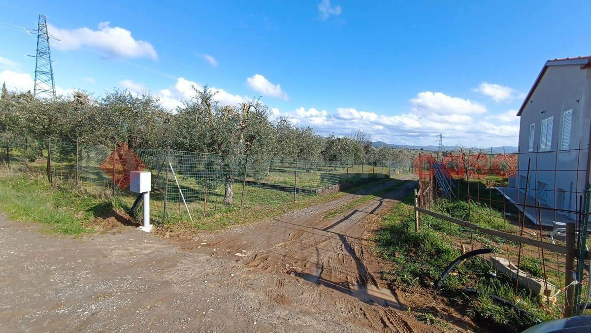 Terreno edificabile in vendita a Bibbona