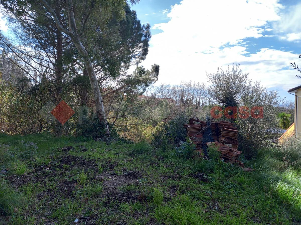 Terreno edificabile in vendita a Rosignano Marittimo