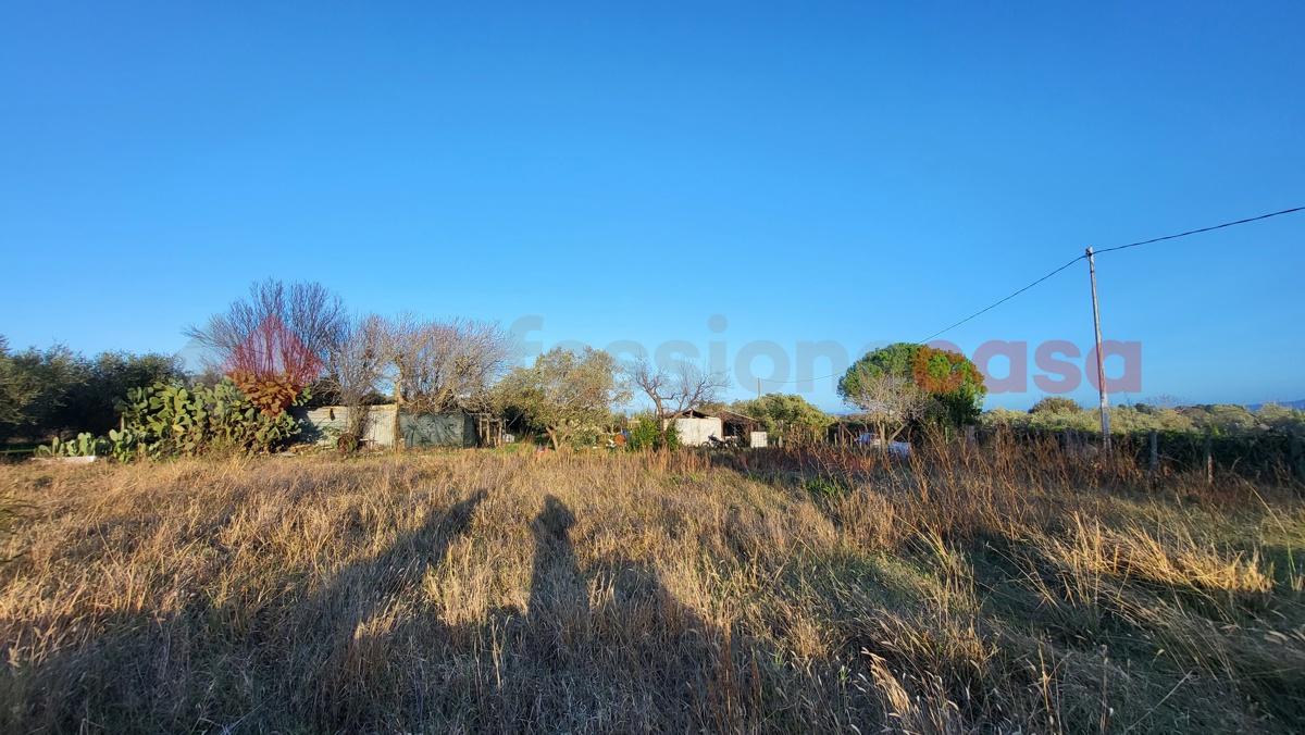 immagine annuncio 10 di 11