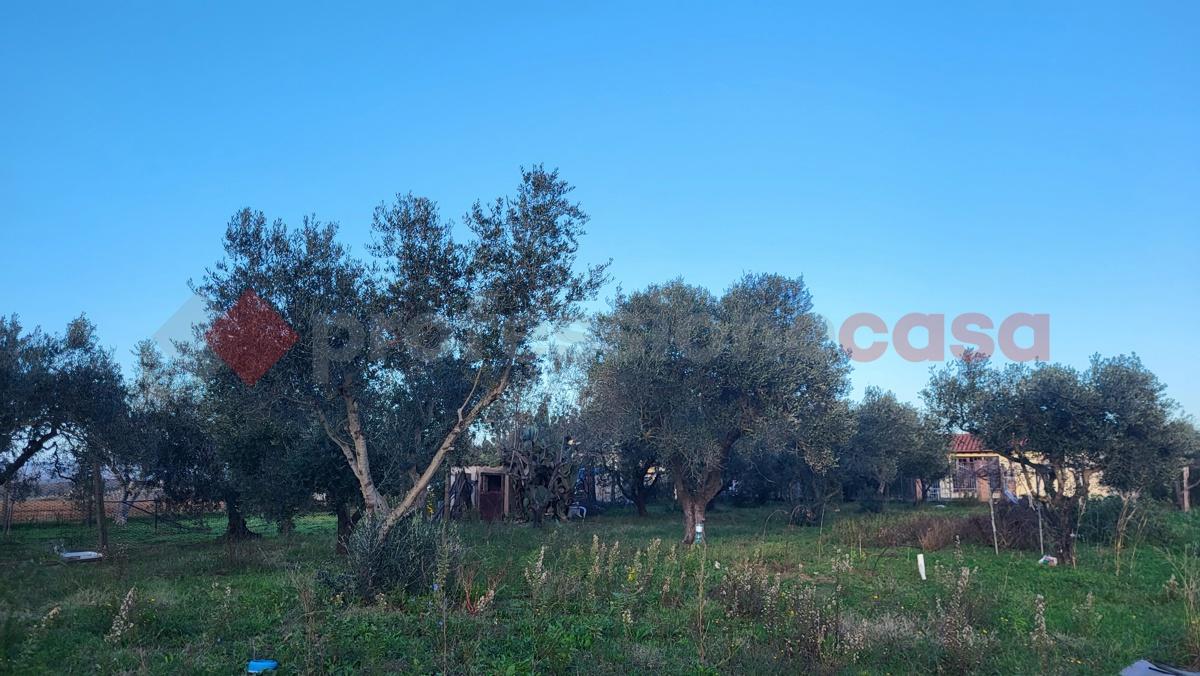 immagine annuncio 4 di 11
