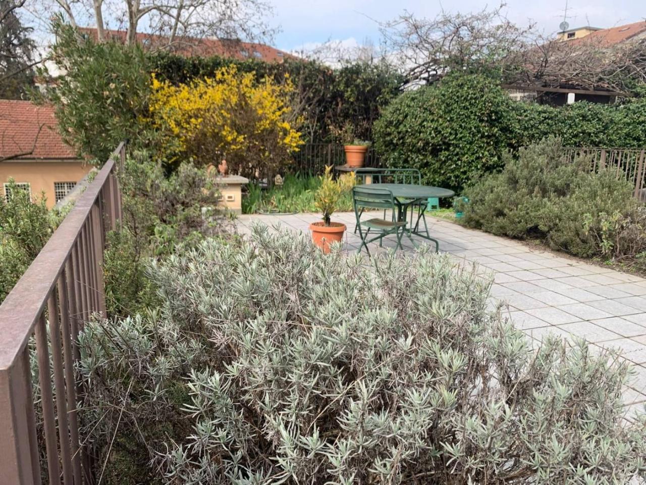 immagine annuncio 12 di 15