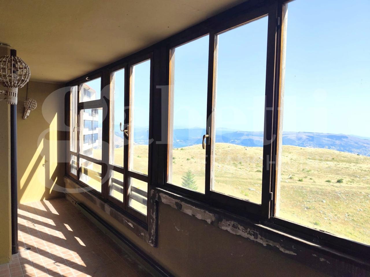 immagine annuncio 6 di 12