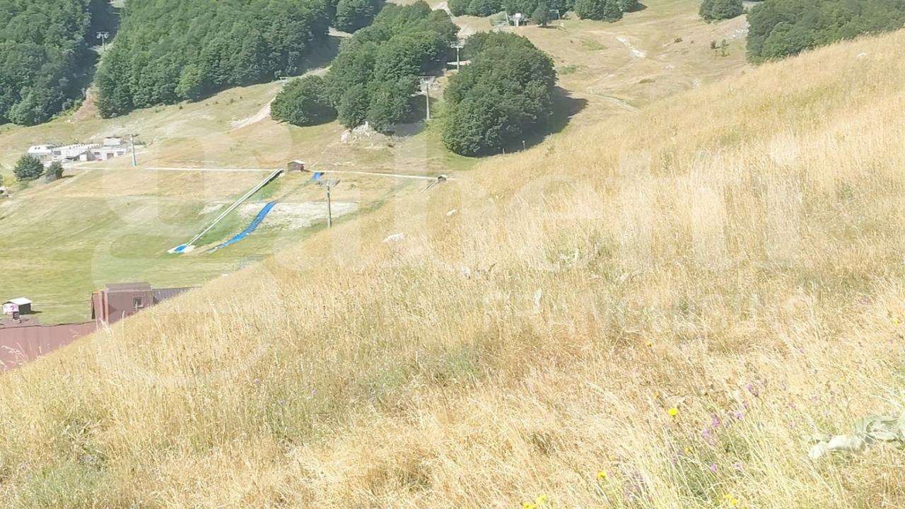 immagine annuncio 10 di 12