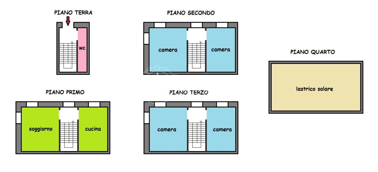 immagine annuncio 1 di 15