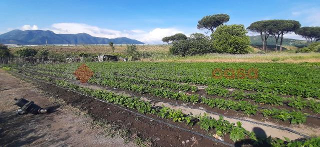 Terreno agricolo in Via Carrara d'Amora 55, Nocera Inferiore - Foto 1