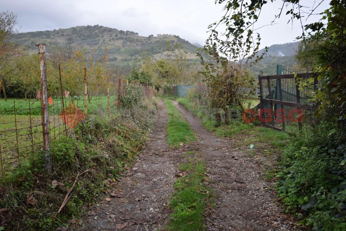 immagine annuncio 4 di 9