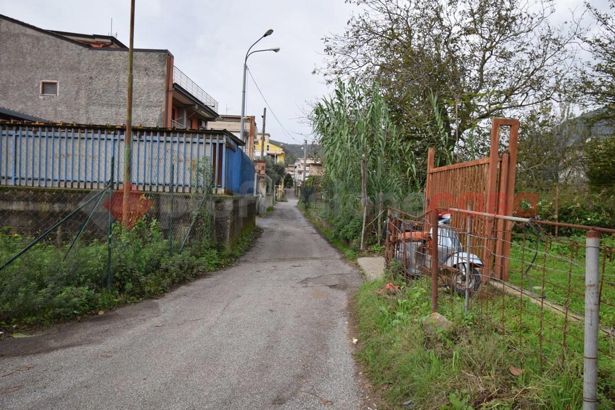 immagine annuncio 3 di 9