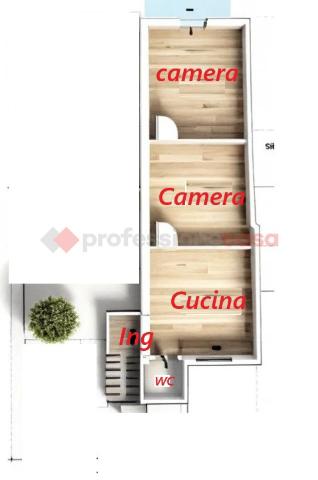 insertion image