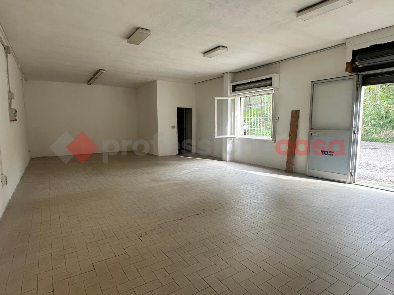 Negozio in , Collesalvetti, {3} - Foto 1