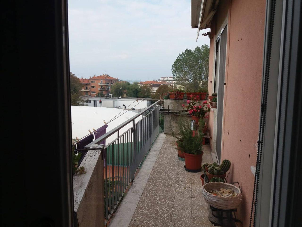 immagine annuncio 3 di 14