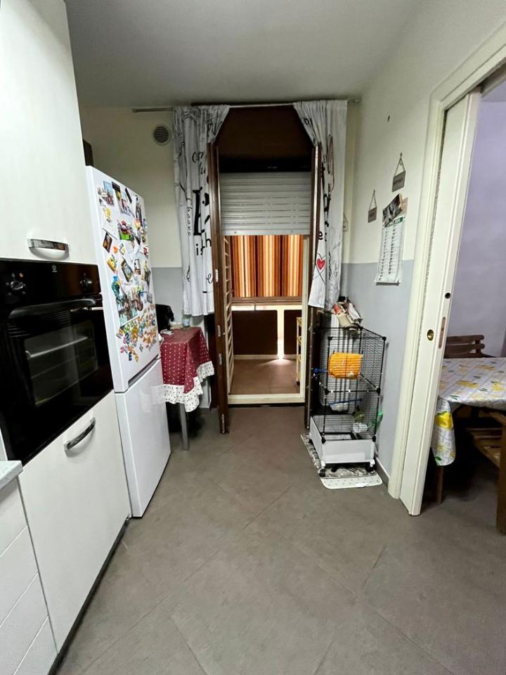 immagine annuncio 2 di 14