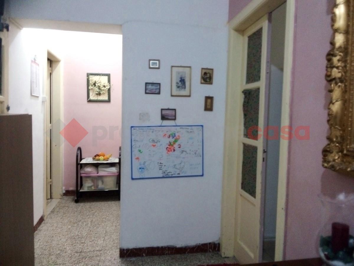 immagine annuncio 11 di 14