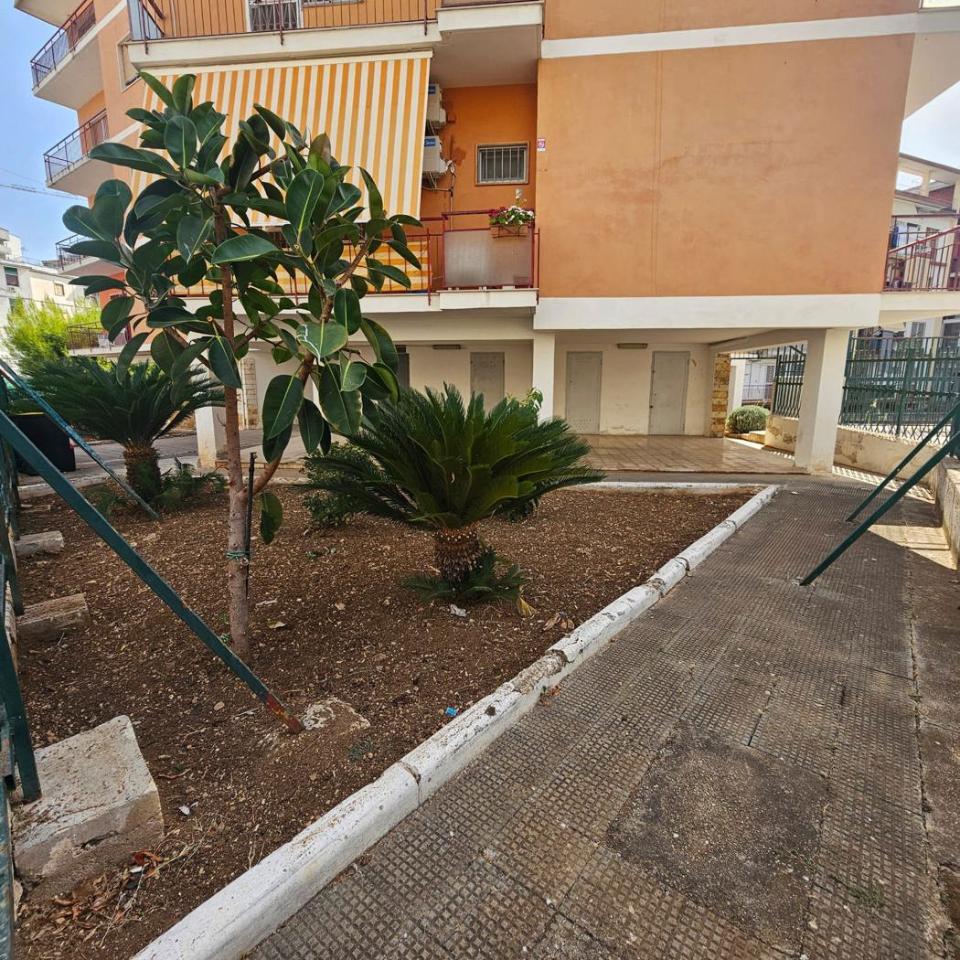 immagine annuncio 8 di 12