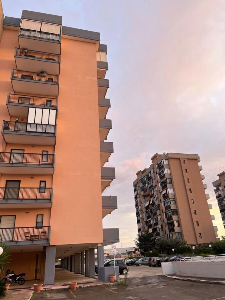 immagine annuncio 3 di 7