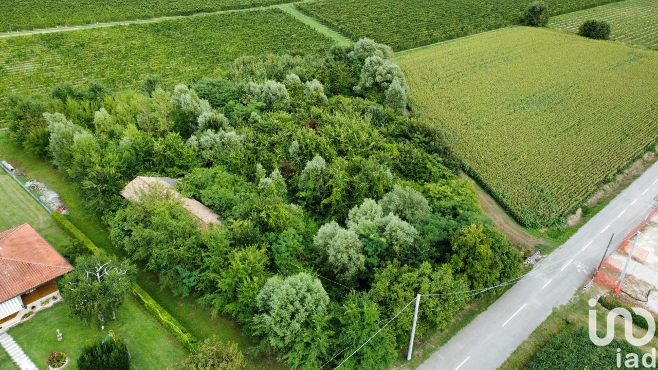 immagine annuncio 5 di 13