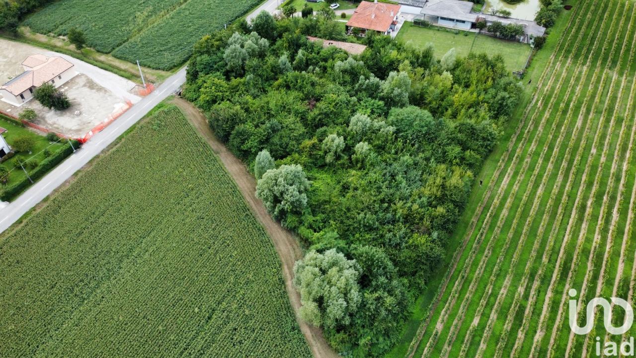 immagine annuncio 3 di 13