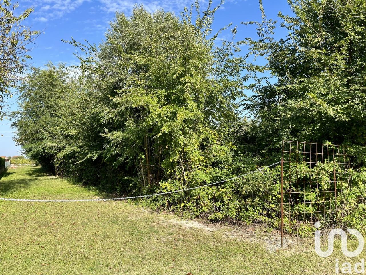 immagine annuncio 12 di 13