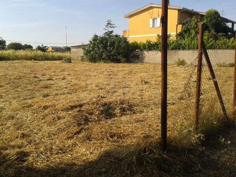 Terreno agricolo in vendita a Roma